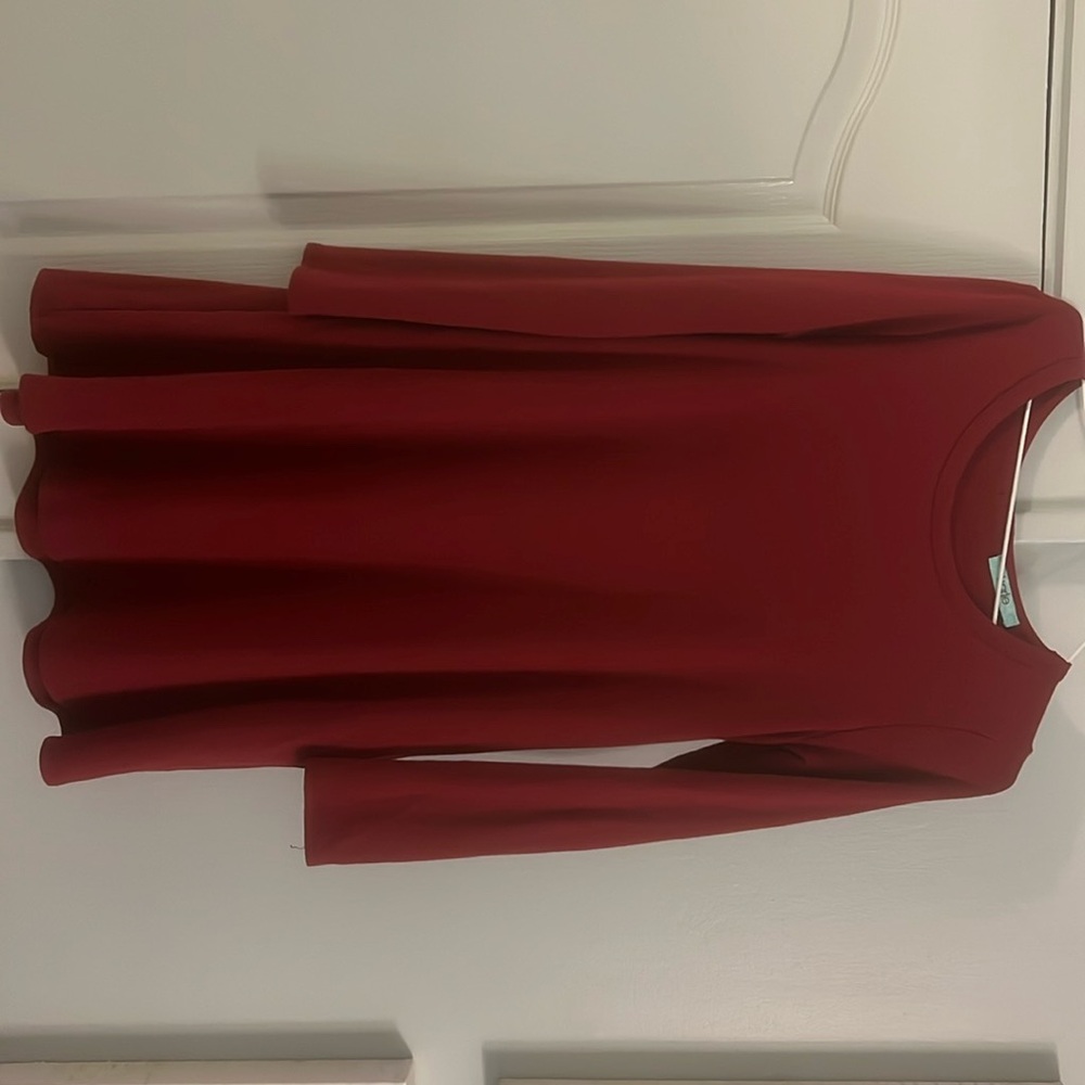 Shirt dress